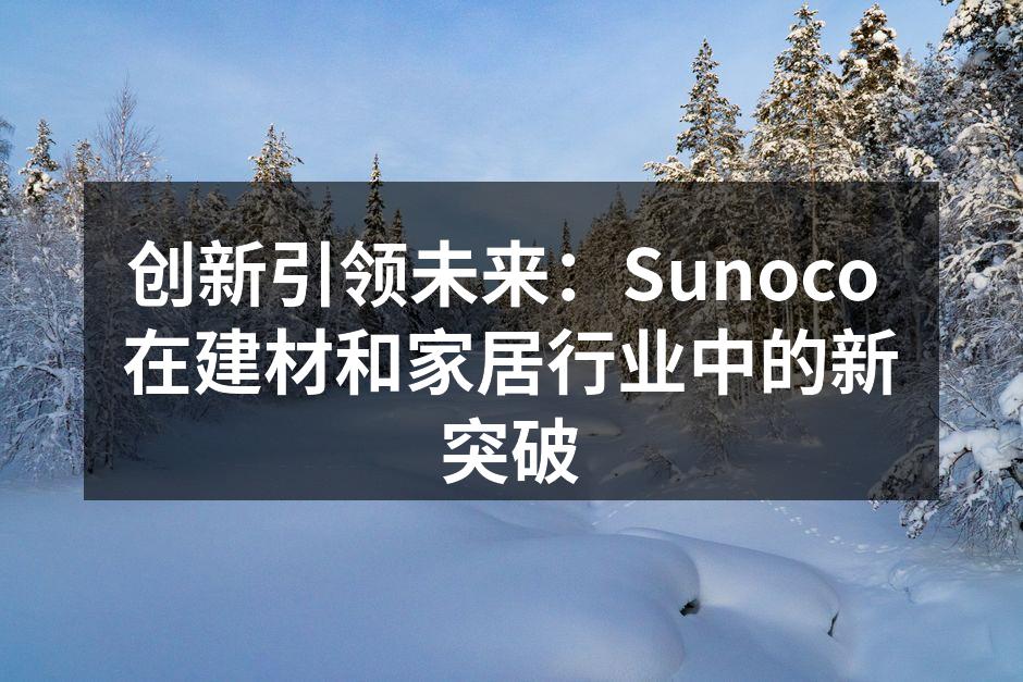 创新引领未来：Sunoco 在建材和家居行业中的新突破