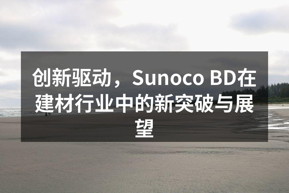 创新驱动，Sunoco BD在建材行业中的新突破与展望